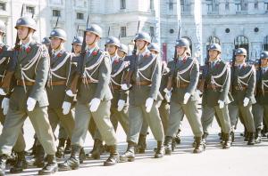 Photo by Damian Searles