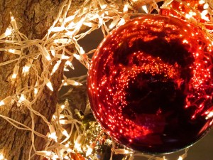 Photo by Cameron Lee