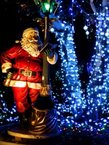 Photo by Cameron Lee