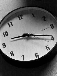 Photo by Cameron Lee