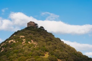 Photo by "backtrust"