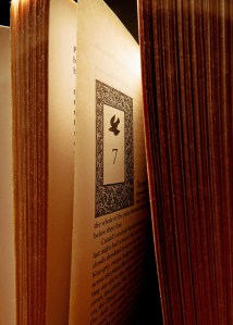 Photo by Cameron Lee