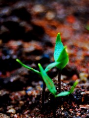 Photo by Ramon Souza