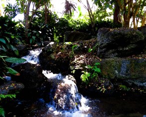 Photo by Cameron Lee