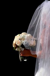 Photo by Jenny Rollo