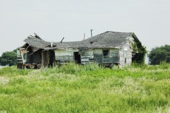 Angela Seiffert / freeimages.com