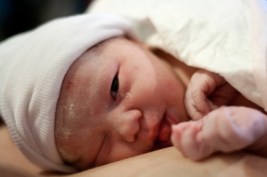 Tuomas_Lehtinen / freeimages.net