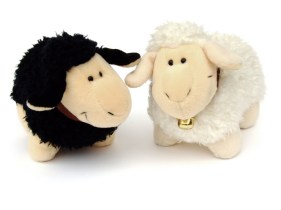 Streuli Silvan / freeimages.com